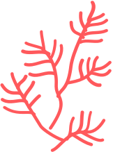 Glyph twig